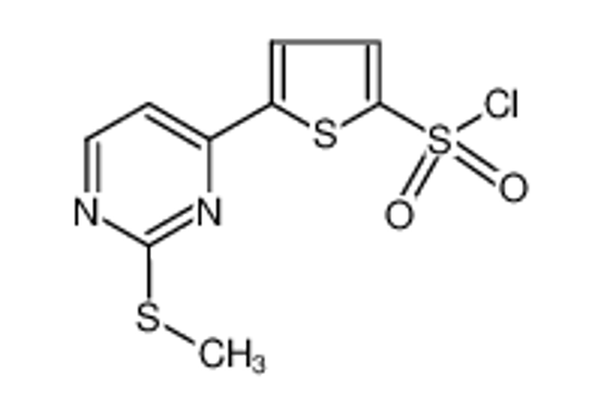 Picture of 5-(2-methylsulfanylpyrimidin-4-yl)thiophene-2-sulfonyl chloride
