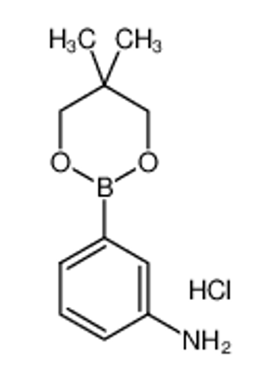 Picture of 3-Aminophenylboronic acid, neopentyl glycol ester, HCl