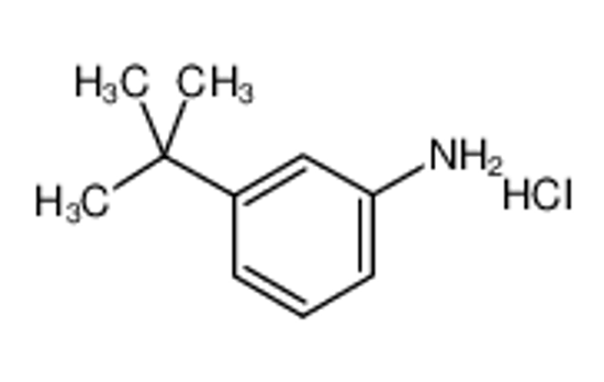 Picture of 3-tert-butylaniline,hydrochloride