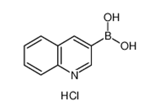 Picture of Quinoline-3-boronic acid, HCl