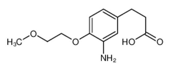Picture of 3-[3-AMINO-4-(2-METHOXYETHOXY)PHENYL]PROPANOIC ACID