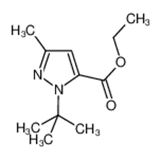 Picture of ethyl 2-tert-butyl-5-methylpyrazole-3-carboxylate