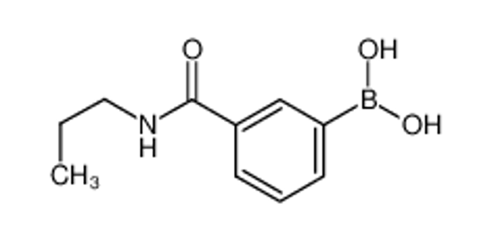 Picture of 3-(N-Propylaminocarbonyl)phenylboronic acid