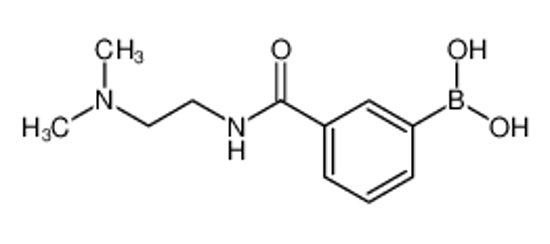 Picture of 3-(2-(Dimethylamino)ethylcarbamoyl)phenylboronic acid