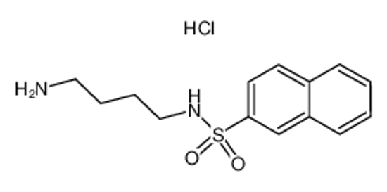 Picture of N-(4-Aminobutyl)-2-naphthalenesulfonamide Hydrochloride