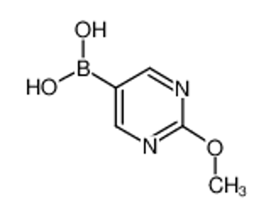 Picture of 2-Methoxypyrimidine-5-boronic acid