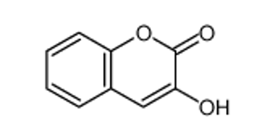 Picture of 3-HYDROXYCOUMARIN