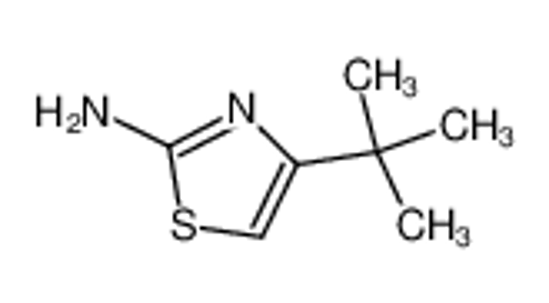 Picture of 2-AMINO-4-TERT-BUTYLTHIAZOLE