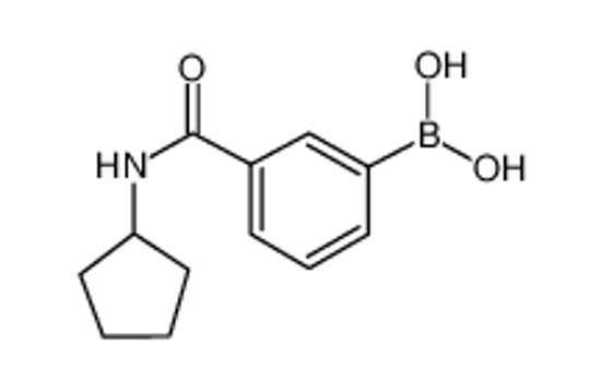 Picture of 3-(Cyclopentylaminocarbonyl)phenylboronic acid