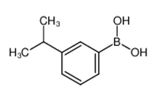 Picture of 3-ISOPROPYLPHENYLBORONIC ACID