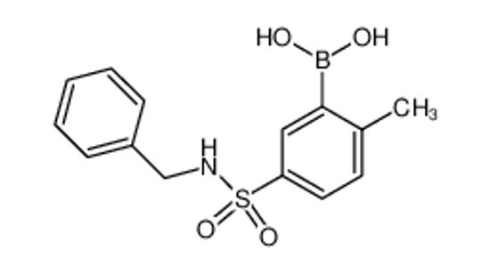Picture of N-Benzyl 3-borono-4-methylbenzenesulfonamide