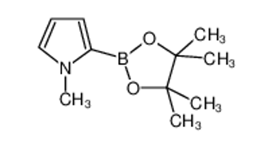 Picture of N-Methylpyrrole-2-boronic acid, pinacol ester