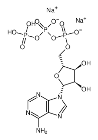 Picture of adenosine triphosphate disodium