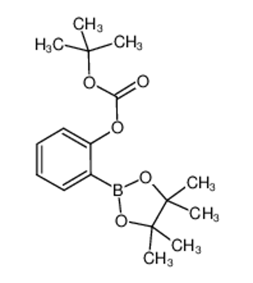 Picture of 2-t-Butoxycarboxyphenylboronic acid, pinacol ester