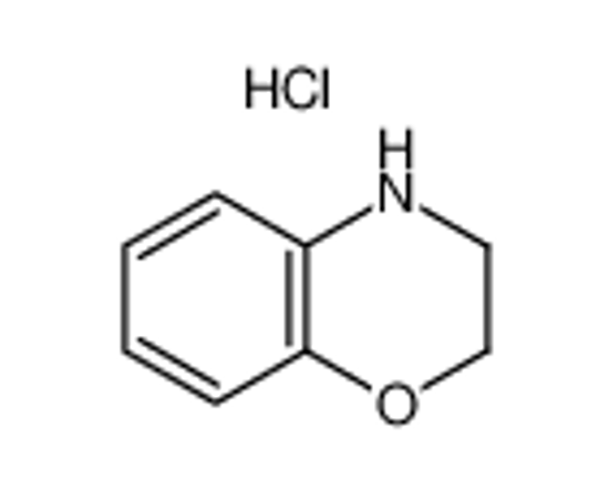 Picture of 3,4-dihydro-2H-1,4-benzoxazine,hydrochloride