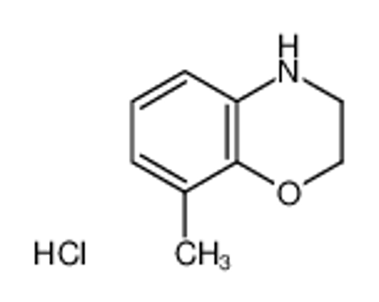Picture of 8-methyl-3,4-dihydro-2H-1,4-benzoxazine,hydrochloride