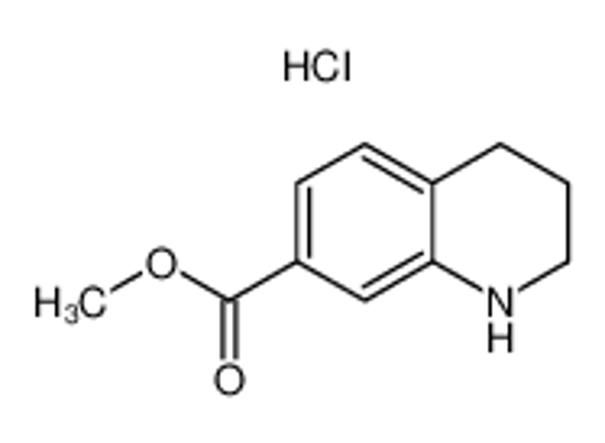 Picture of methyl 1,2,3,4-tetrahydroquinoline-7-carboxylate,hydrochloride