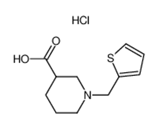 Picture of 1-(thiophen-2-ylmethyl)piperidine-3-carboxylic acid,hydrochloride