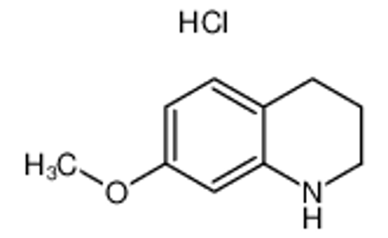 Picture of 7-methoxy-1,2,3,4-tetrahydroquinoline,hydrochloride