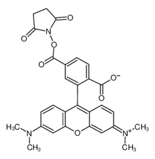 Picture of 6-Carboxy-tetramethylrhodamine N-succinimidyl ester