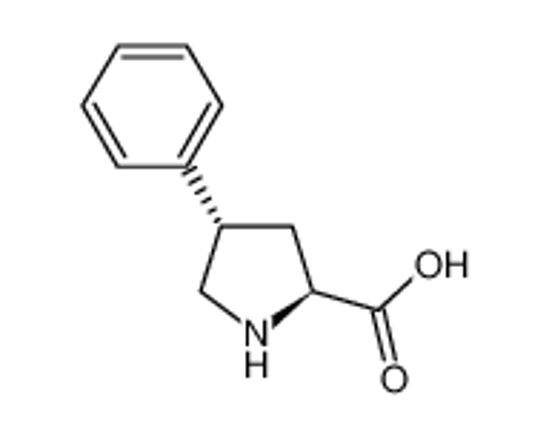 Picture of (2S,4S)-4-phenylpyrrolidine-2-carboxylic acid