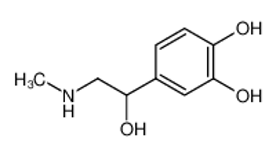 Picture of adrenaline