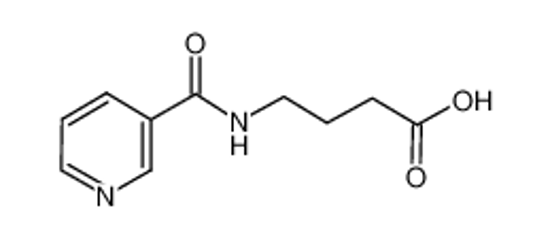 Picture of 4-(pyridine-3-carbonylamino)butanoic acid