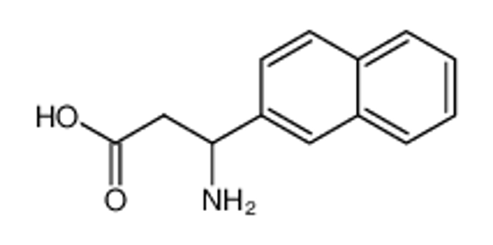 Picture of DL-3-Amino-3-(2-Naphthyl)Propionic Acid