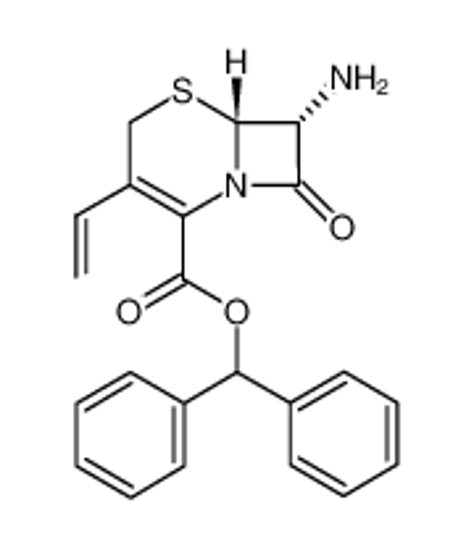Picture of 7-Amino-3-vinyl-3-cephem-4-carboxylic acid diphenylmethyl ester monohydrochloride
