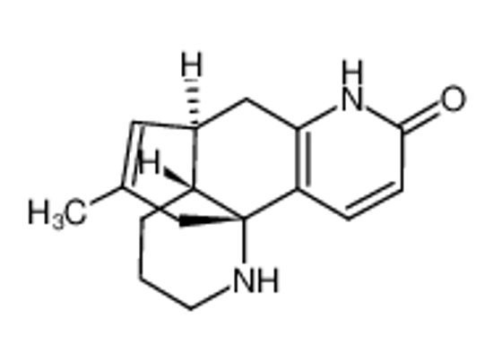 Imagem de Huperzine B