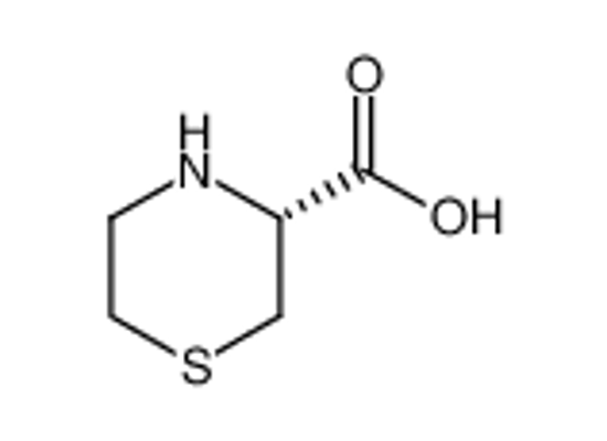 Изображение thiomorpholine-3-carboxylic acid