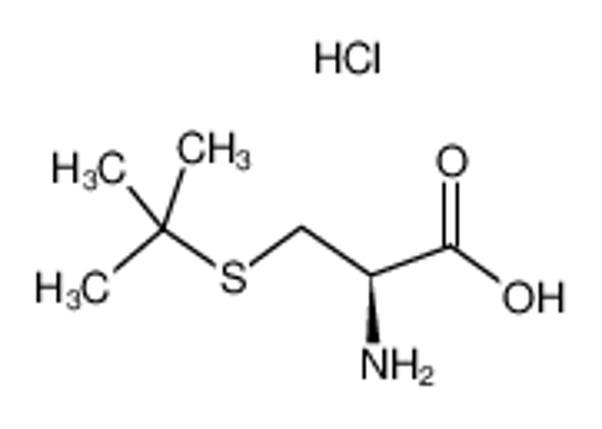 Picture of (2R)-2-amino-3-tert-butylsulfanylpropanoic acid,hydrochloride