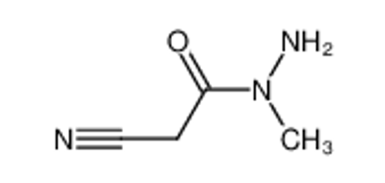 Picture of 2-cyano-N-methylacetohydrazide