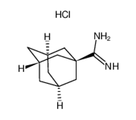 Picture of Adamantane-1-carboxamidine hydrochloride