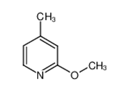 Изображение 2-Methoxy-4-methylpyridine