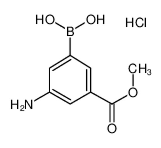 Picture of 3-Amino-5-methoxycarbonylphenylboronic acid, HCl
