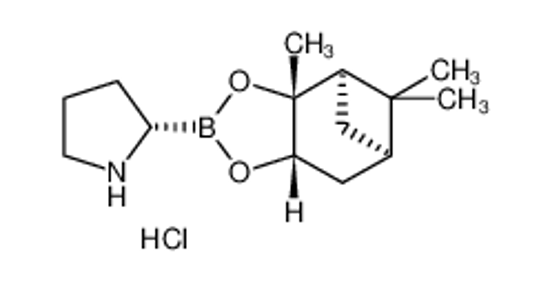 Imagem de (1R,2R,3S,5R)-Pinanediol Pyrrolidine-2S-boronate Hydrochloride