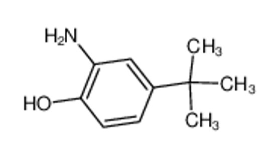 Picture of 2-Amino-4-tert-butylphenol