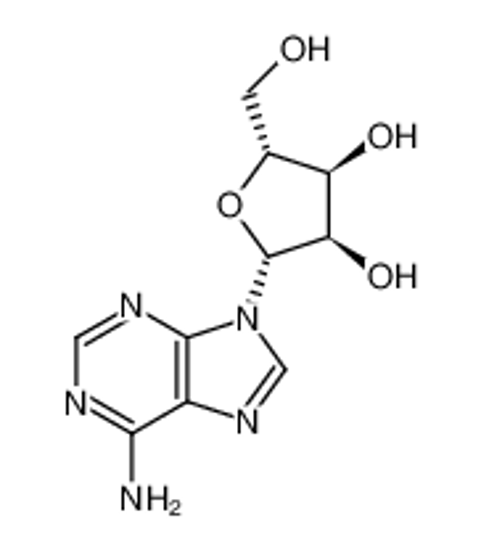 Picture of L-Adenosine