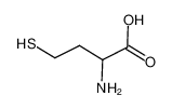 Picture of DL-Homocysteine