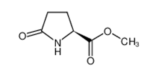 Picture of Methyl L-Pyroglutamate