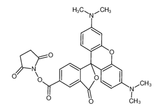 Picture of 5(6)-Carboxytetramethylrhodamine N-succinimidyl ester