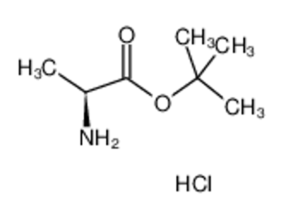 Picture of tert-Butyl L-alaninate hydrochloride