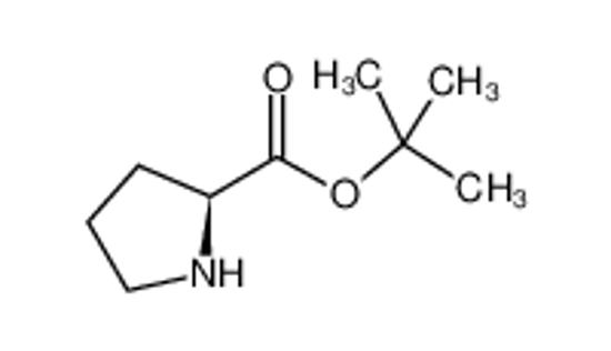 Picture of tert-Butyl L-prolinate