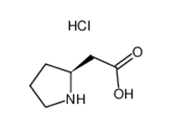 Picture of L-beta-Homoproline hydrochloride