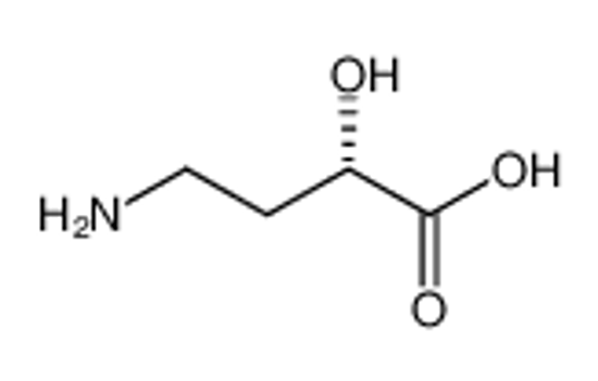 Picture of (S)-(-)-4-Amino-2-hydroxybutyric acid