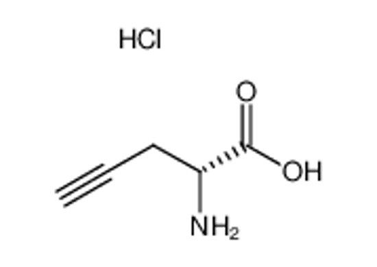 Picture of D-Propargylglycine