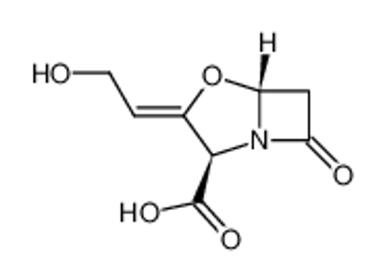 Picture of (2R,3Z,5R)-3-(2-hydroxyethylidene)-7-oxo-4-oxa-1-azabicyclo[3.2.0]heptane-2-carboxylic acid