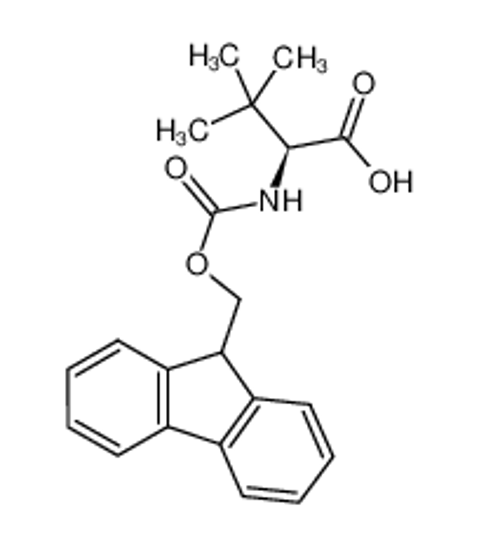 Imagem de Fmoc-L-alpha-t-butylglycine