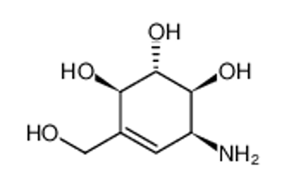 Picture of (+)-Valienamine